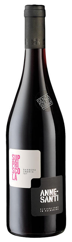 Gianni Moscardini Penteo rosso    Cépages Sangiovese Teroldego