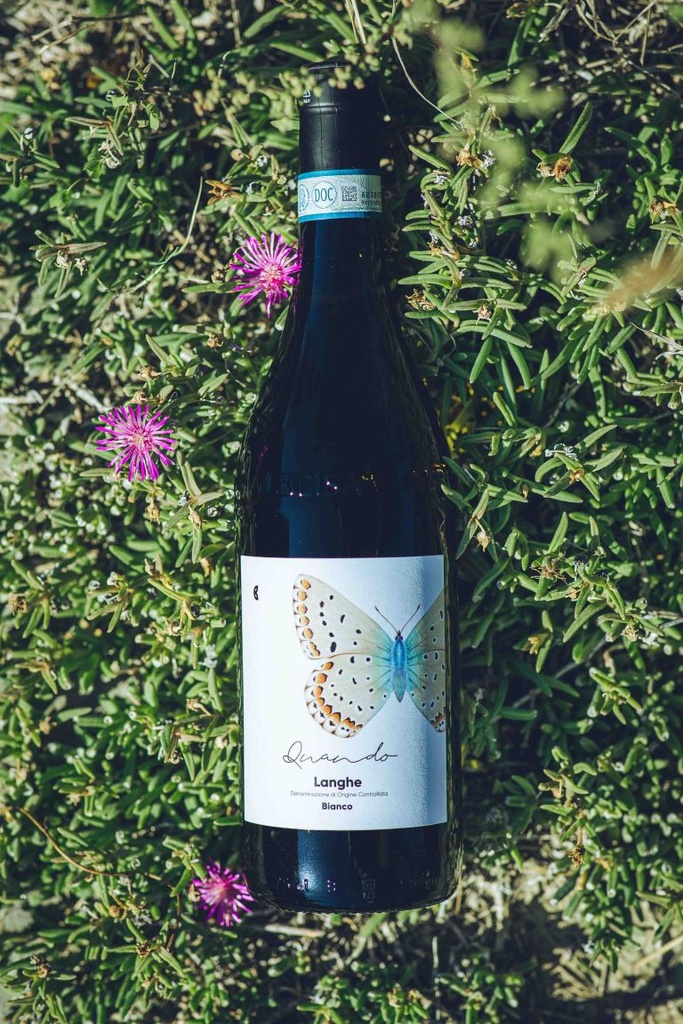 Camparo Quando  Langhe Cépages: Viognier Arneis