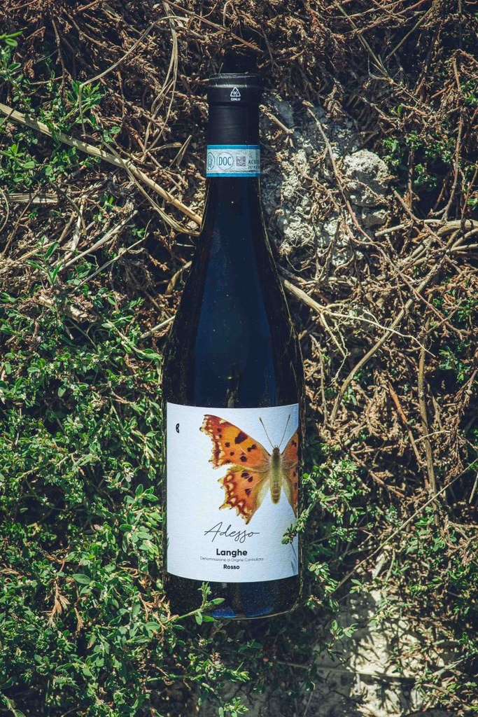 Camparo Adesso Langhe Rosso Cépages Nebbiolo Dolcetto Barbera