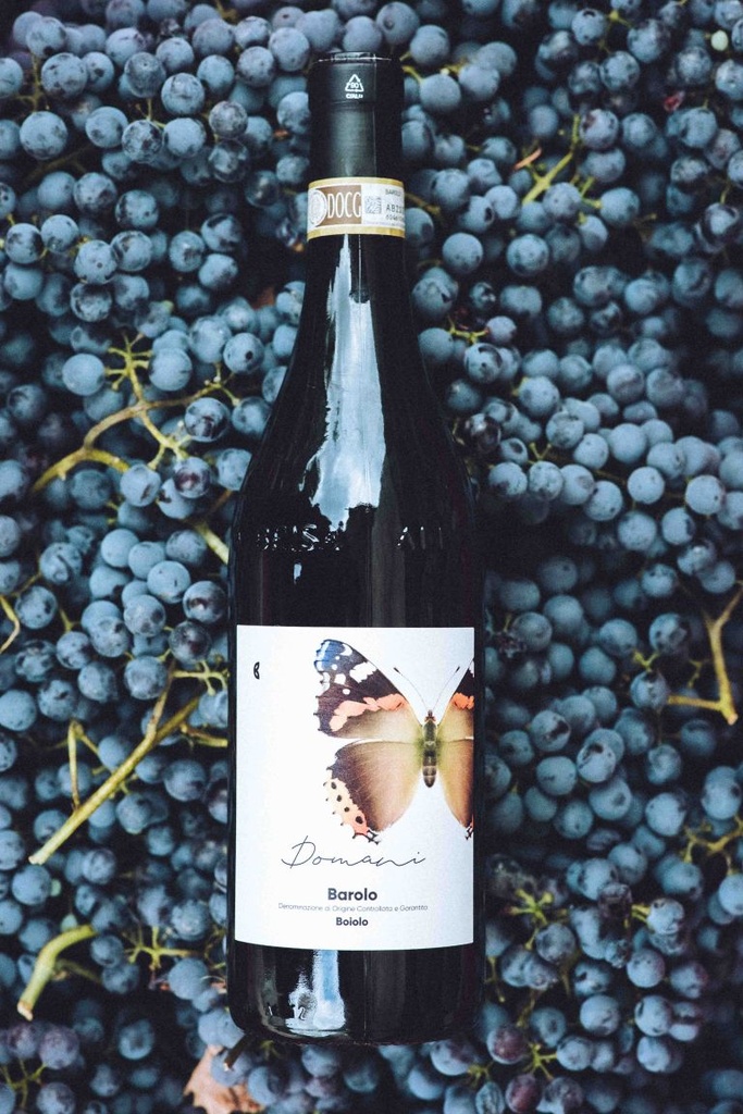 Camparo Barolo Domani Cépage Nebbiolo